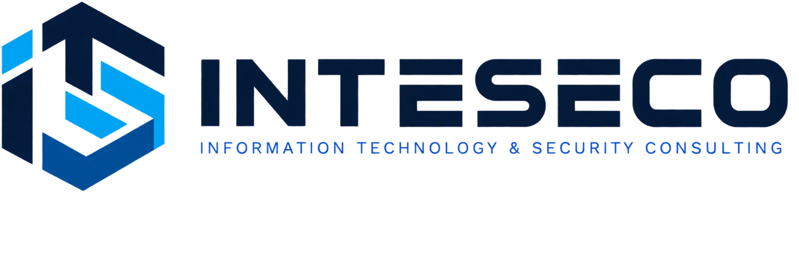 INTESECO — Information Technology & Security Consulting